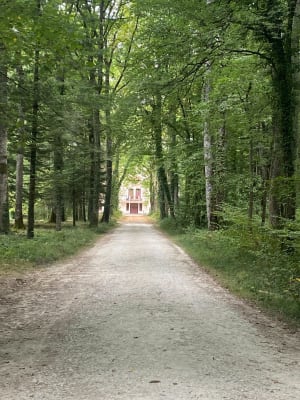 Forêt de Larçay et Château du Bois des Hâtes - Chambray-lès-Tours - 4