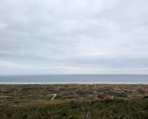 Dunes de Biville - La Hague - 12