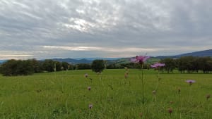 Boucle verte autour de Groisy - Groisy - 11
