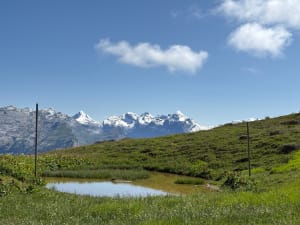 Balade des marmottes - Arâches-la-Frasse - 33
