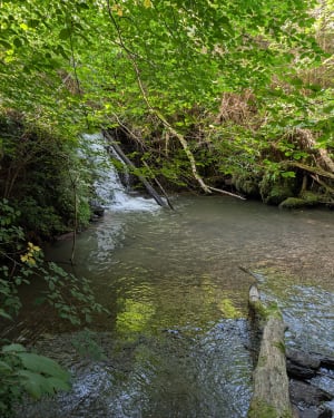 Jouer à pierre feuille ciseaux dans le Sidobre - Saint-Salvy-de-la-Balme - 4