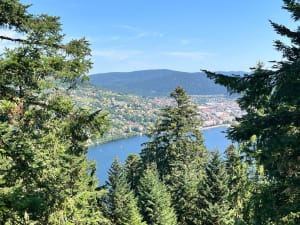 Echappée en forêt de Gérardmer et cascades mélodieuses - Gérardmer - 10