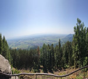 Puissant magnétisme du Mont Sainte-Odile - Ottrott - 7