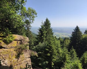 Puissant magnétisme du Mont Sainte-Odile - Ottrott - 8