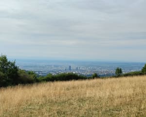 Sortie longue dans les Monts d'Or - Saint-Romain-au-Mont-d'Or - 16