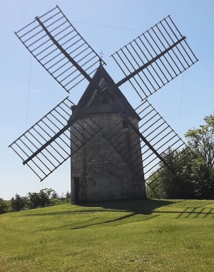 Balade au cœur des truffières de Lalbenque - Lalbenque - 2