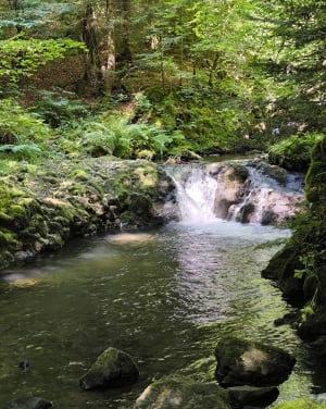 Cascades de Chiloza au départ de Besse - Besse-et-Saint-Anastaise - 21
