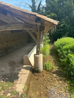 Balade tranquille à l’étang de Gole - Montcarra - 4