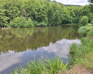 La petite Pierre, Rocher du Corbeau, des Païens et Blanc - La Petite-Pierre - 18