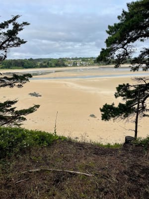 Boucle de Sainte Barbe - Plestin-les-Grèves - 20