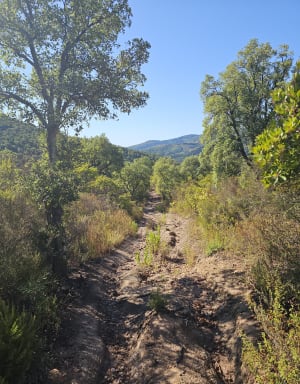 Gambader dans la forêt de Peygros et éveiller ses sens - Val - 2