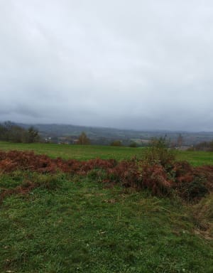 Igon en boucle par l'Oppidum d'Asson - Igon - 10