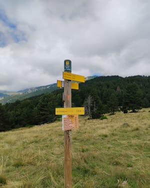 Boucle de la Réserve Naturelle à Prats-de-Mollo-la-Preste - Prosper - 7