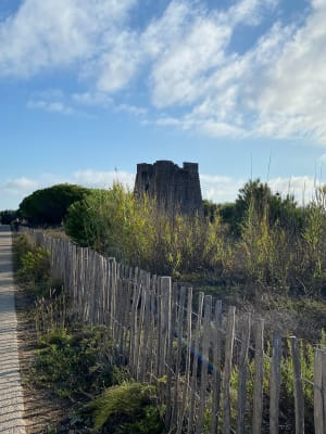Petite balade entre la lagune de Thau et la Méditerranée - Marseillan - 5