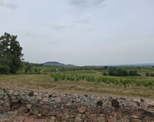 Boucle entre les Saint-Étienne - Saint-Étienne-des-Oullières - 2