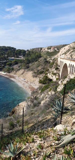 Sur les quais du port de la Redonne et merveilleuses calanques - Carry-le-Rouet - 27