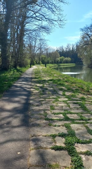 Rives de Saône depuis Conflandey - Amoncourt - 3