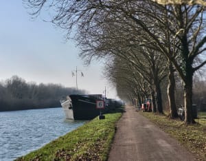 Ile aux moines - Marolles-sur-Seine - 8