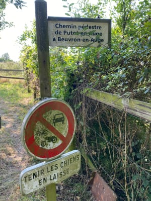 Balade au départ de Dozulé. - PATRICE - 3