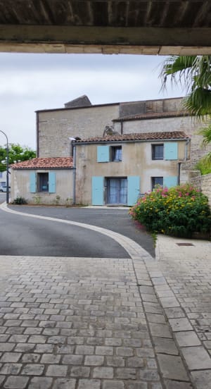 Saint-Georges-d'Oléron entre port du Douhet et ses marais - Saint-Georges-d'Oléron - 6