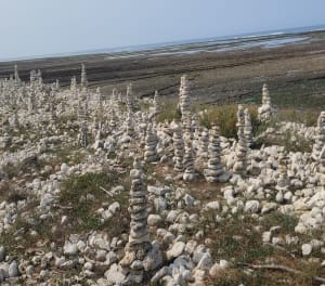 La petite boucle de la pointe - Saint-Denis-d'Oléron - 46