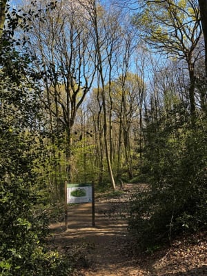 Les Trois Monts - Berthen - 11