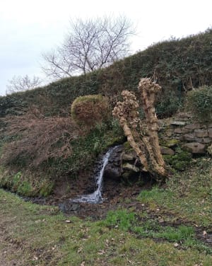 Plateau de la Bade. - Blanzat - 6