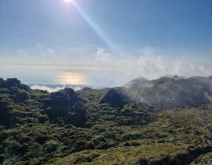 Ascension à La Soufrière, volcan mythique de la Guadeloupe - Saint-Claude - 19