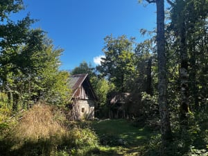 Sentier de Cozon, entre cascades et marmites à Saint-Pierre-d'Entremont - Saint-Pierre-d'Entremont - 9