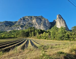 Balade sympa près de Saou : entre Roc et Estang - Saou - 14