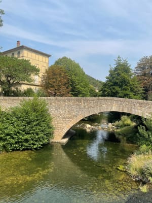 Au-dessus de la vallée de Gravezon et flore locale - 4
