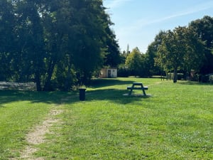 Balade en campagne - Tony - 2
