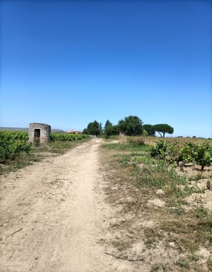 Circuit du Bois Joli - Château-Thébaud - 37