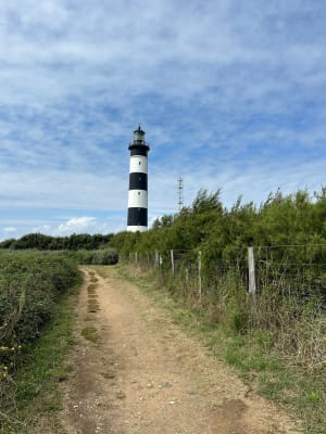 La petite boucle de la pointe - Saint-Denis-d'Oléron - 41