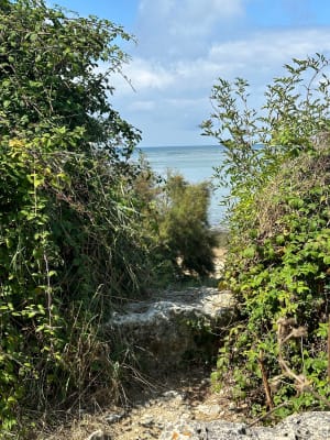 La petite boucle de la pointe - Saint-Denis-d'Oléron - 42