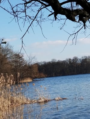Rusałka  - spacer dokoła jeziora. - Poznań - 7