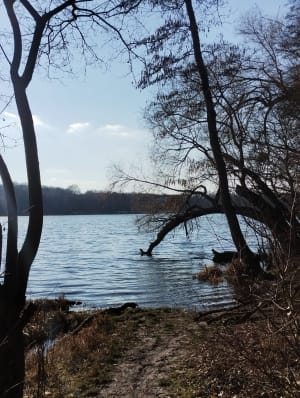 Rusałka  - spacer dokoła jeziora. - Poznań - 8