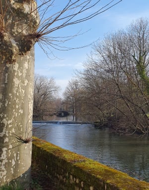 Balade à Châteauroux et au parc Daniel Bernardet - Céline  - 7