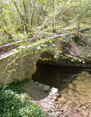 Visite au Moulin du Saut et frisson préhistorique - Gramat - 22