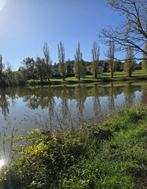 Les meules depuis Saint Genest Lerpt - Saint-Genest-Lerpt - 9