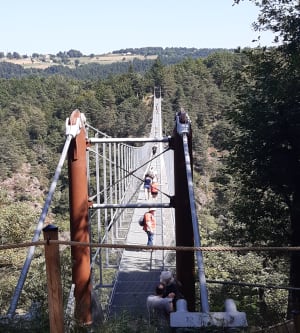 Balade à la passerelle des gorges du Lignon depuis Grazac - Grazac - 27
