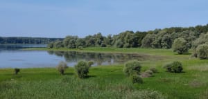 Fietstocht langs het meer en het Oriëntbos - Mesnil-Saint-Père - 15