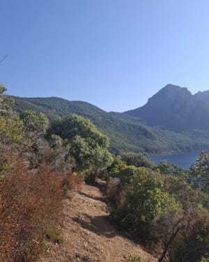 Splendide baie de Girolata et ses sublimes plages - Osani - 6