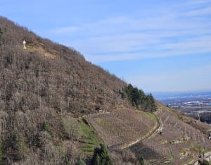 Engelbourg et l'oeil de la sorcière Thann - Thann - 20