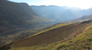 Cerdon et le Rocher de Saint-Alban - Cerdon - 6