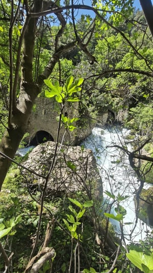 Le Cirque de Navacelles et les moulins de la Foux - Saint-Maurice-Navacelles - 24