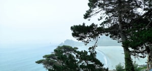 Balade cool de la pointe du château en passant par la ville. - Perros-Guirec - 31