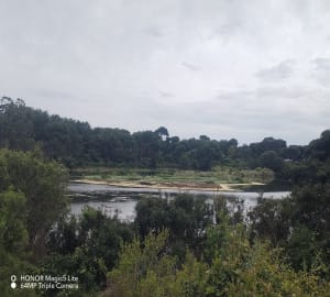 Boucle complète autour de l'île de Sainte Marguerite - Cannes - 13