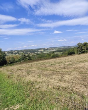 Balade familiale sur la colline de Revel - ISABELLE - 5