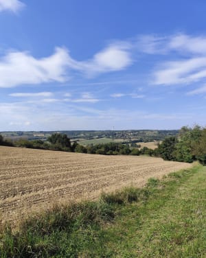 Balade familiale sur la colline de Revel - ISABELLE - 6